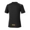 CAMISETA MANGA CORTA MIZUNO ACTIVE DRYAEROFLOW GRAPHIC
