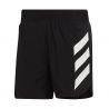PANTALON CORTO ADIDAS TERREX AGRAVIC