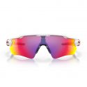 GAFAS OAKLEY RADAR EV PATH