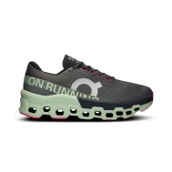 ZAPATILLAS ON RUNNING CLOUDMONSTER 2