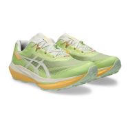 ZAPATILLAS ASICS FUJISPEED 4
